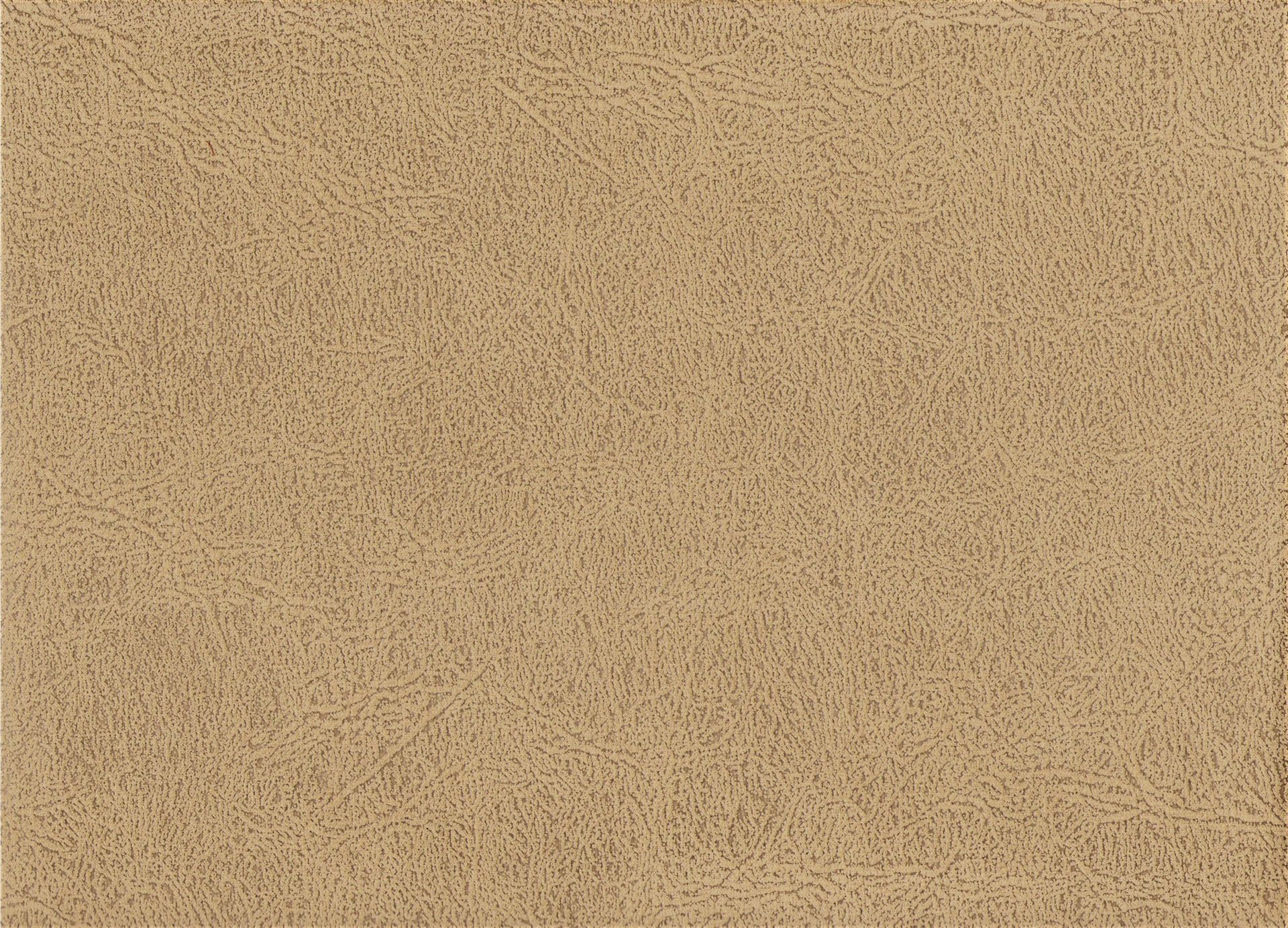 2504