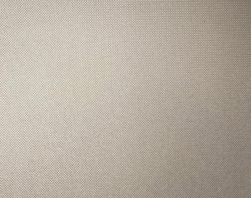Nano 593 Begonya