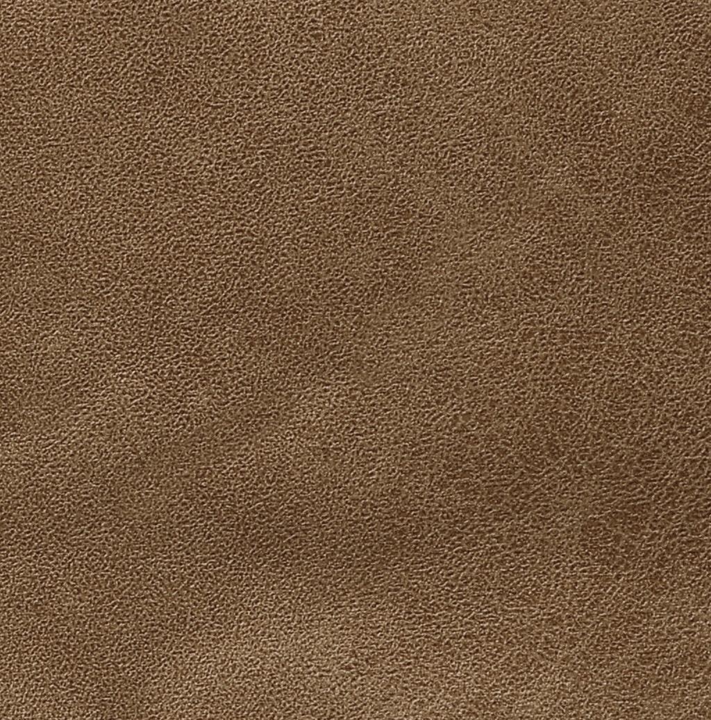 Lazer 320 Camel