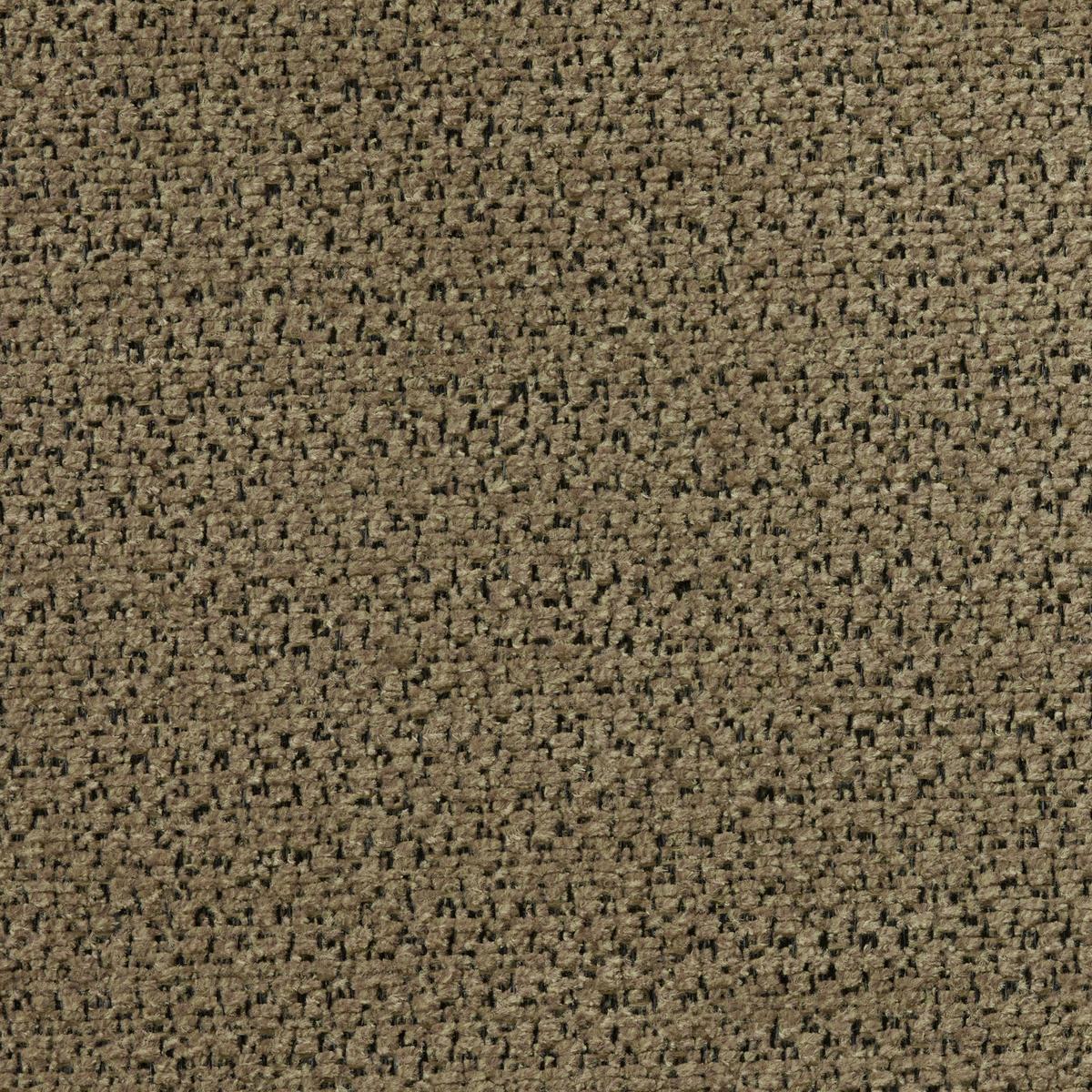 Mono 05 Camel