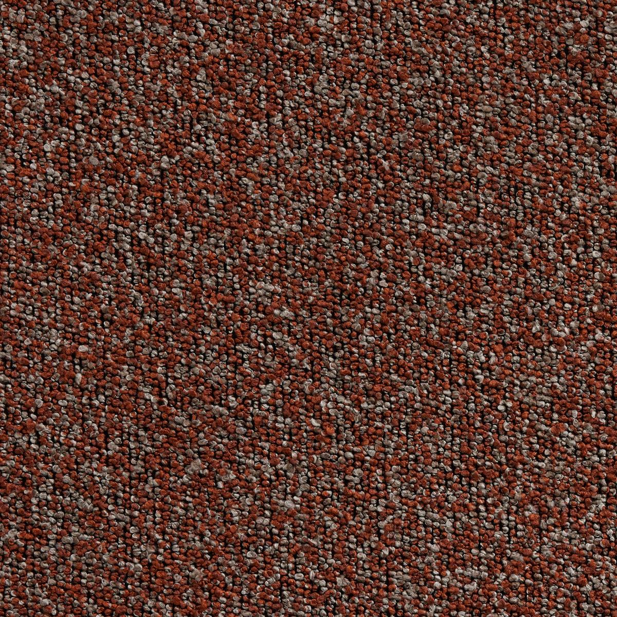 Focus 2002